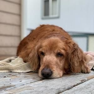 Meet your Posher, Jill